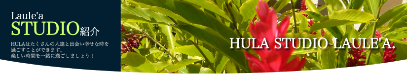 フラスタジオ ラウレア