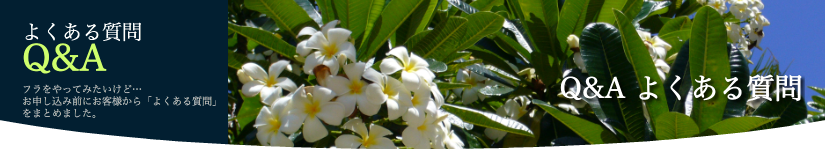 よくある質問 Q&A